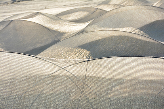 CONNECTED VI Zegers en Hille