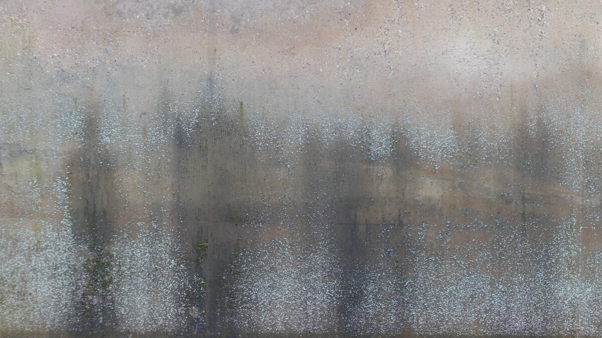 310824Trudi-Sennhauser-Creatieve-natuur