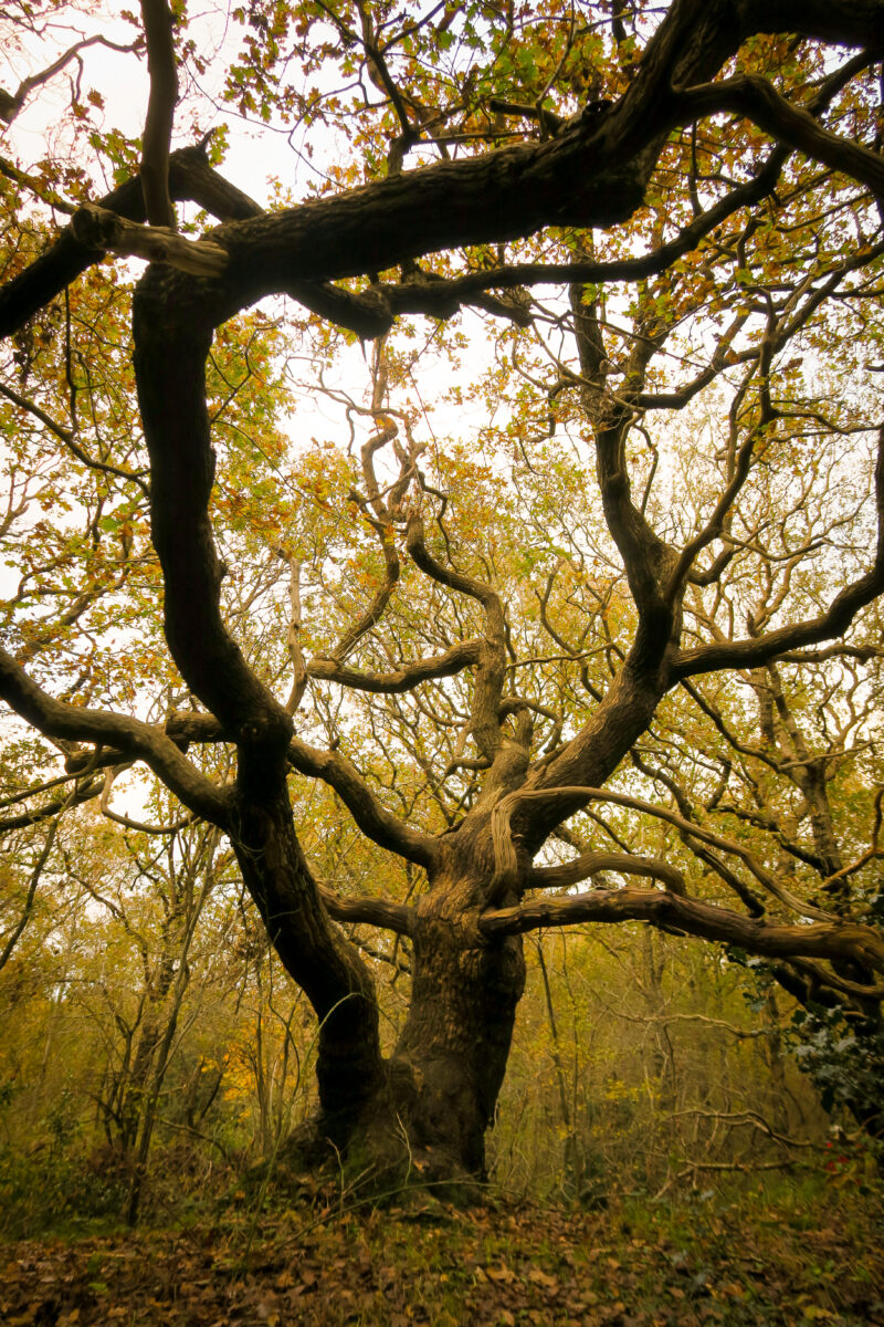 310824ZesFotografen-HermanWieten-id2617