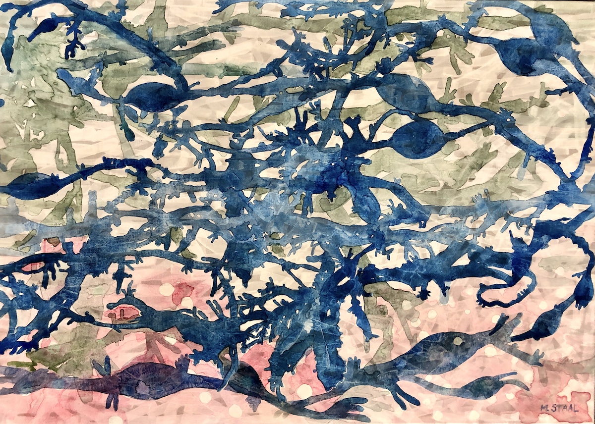 The unbearable lightness of beauty 